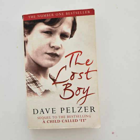 The lost boy - dave pelzer‏