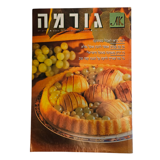 את - גורמה - גיליון 67 יוני 1996