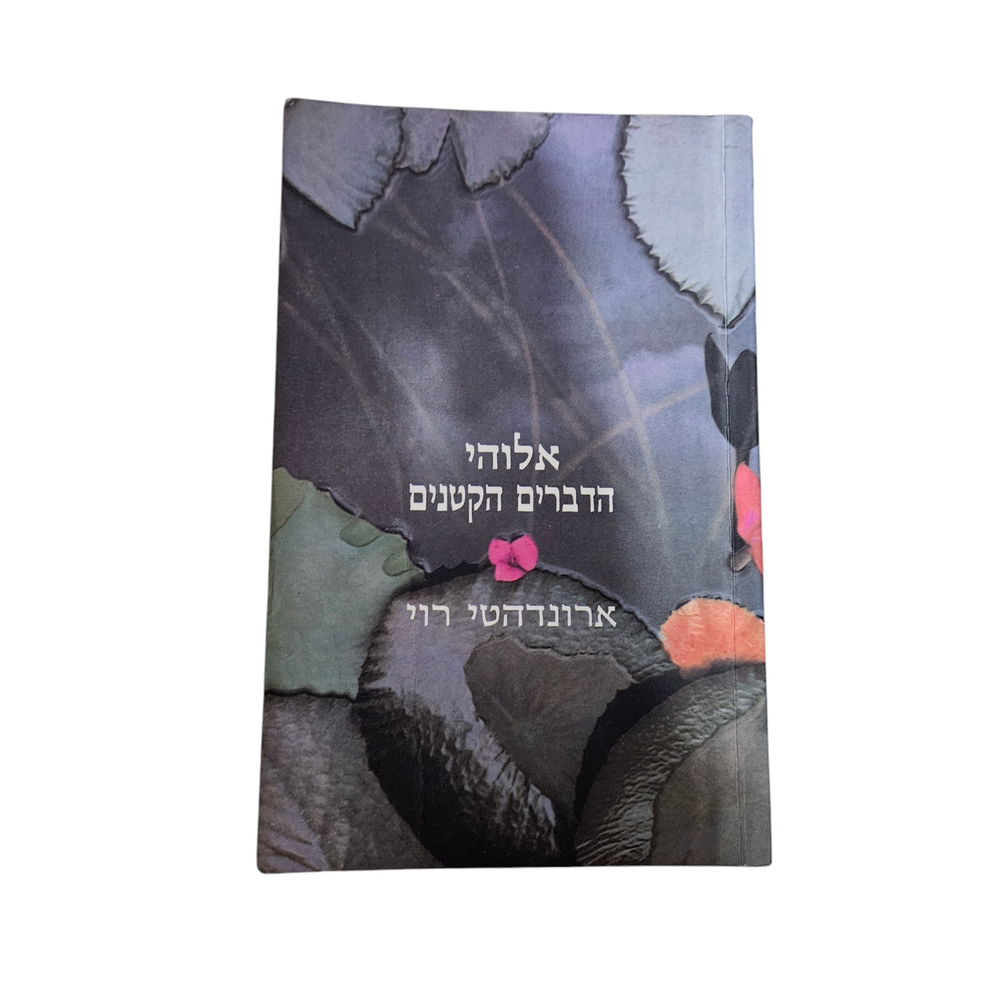 אלוהי הדברים הקטנים - ארונדהטי רוי